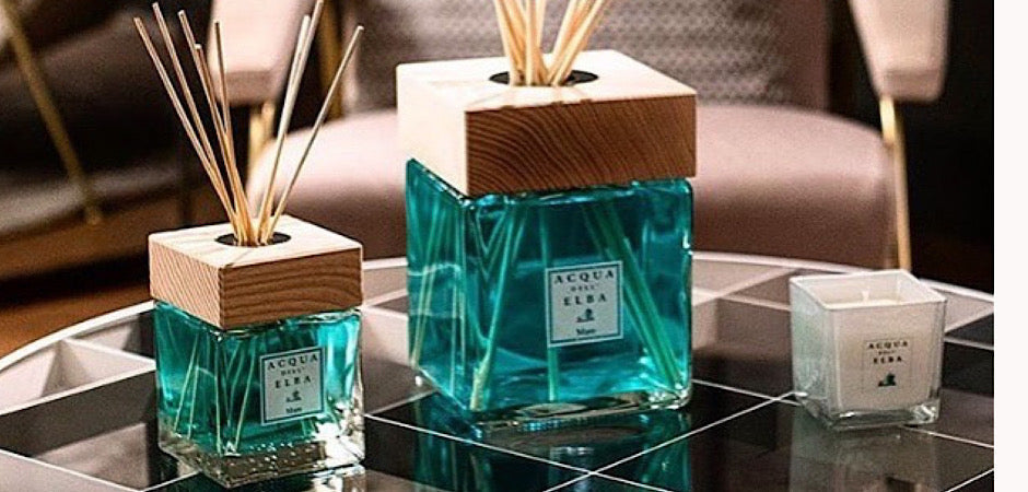The Power Of Fragrance