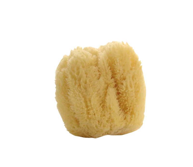 Natural Sea Sponge (Large)